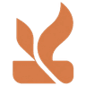 Krowdwave Flame Logo